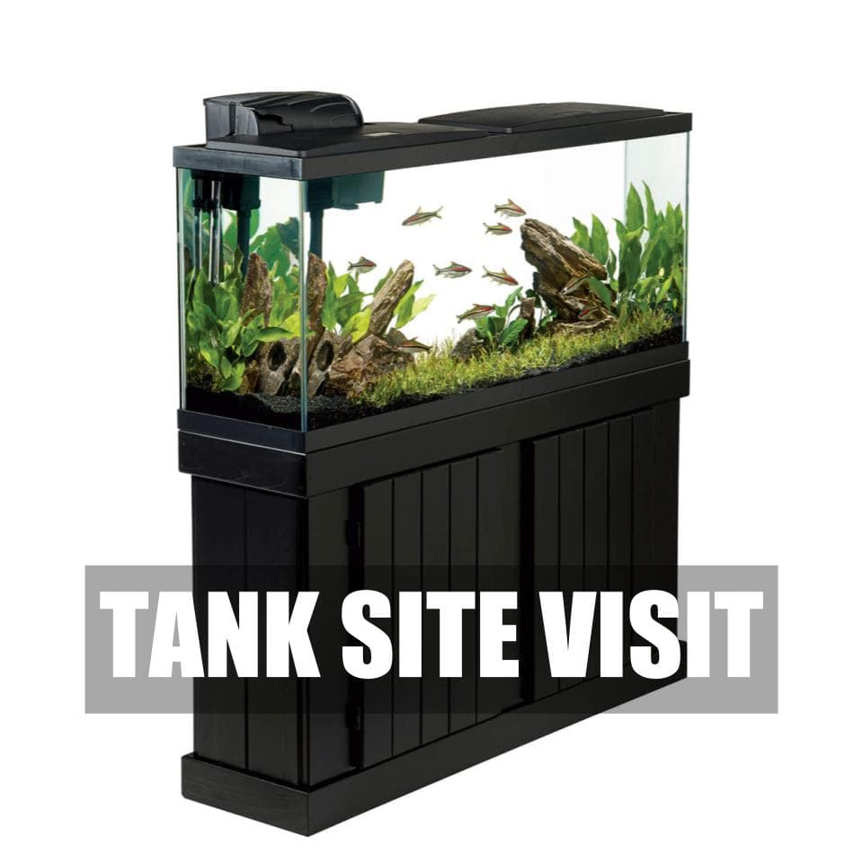 Tank Site Visit