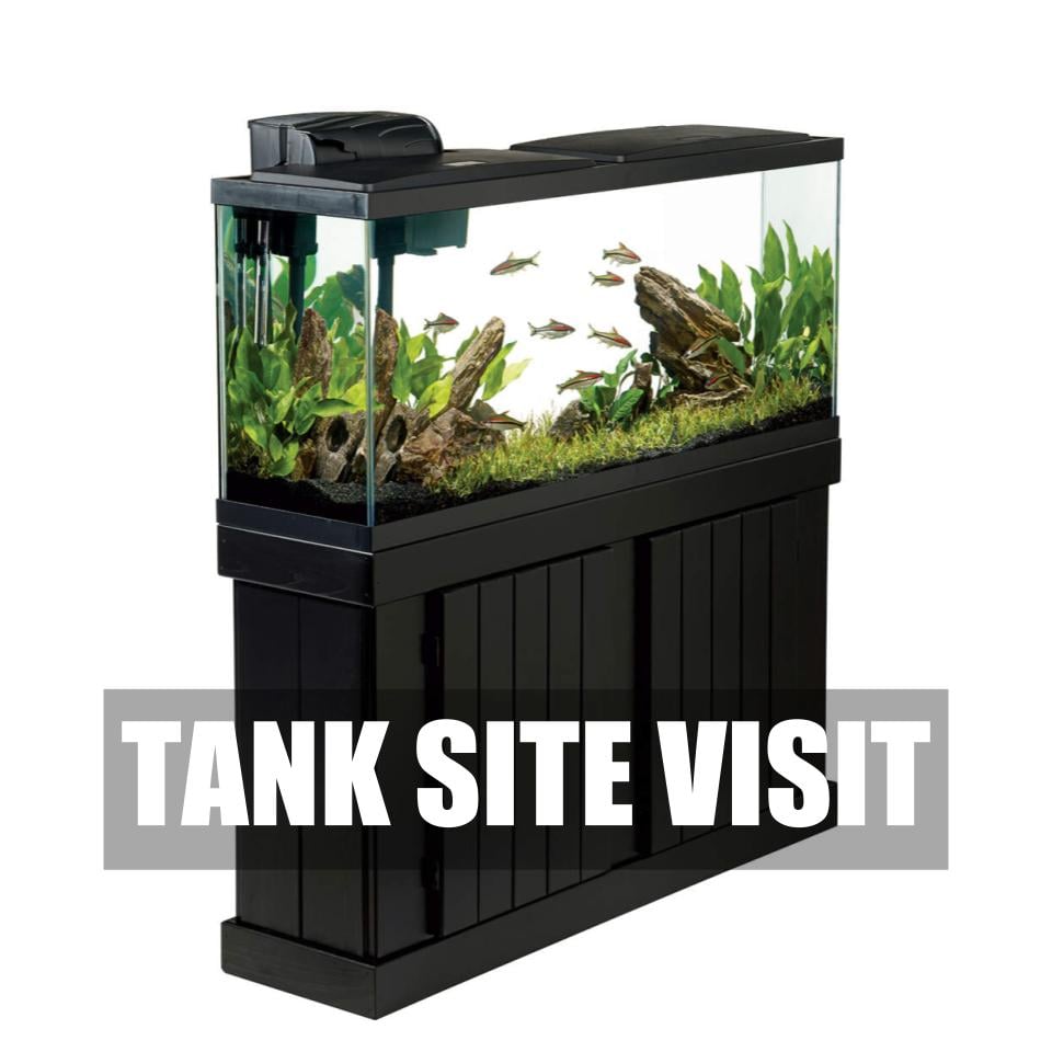 Tank Site Visit