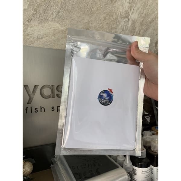 Betta Tank Divider (10pcs)