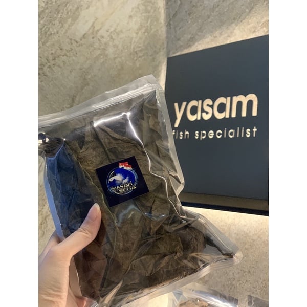 Ketapang Leaves (Almond Leaves)