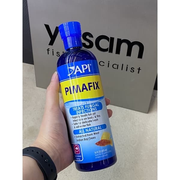 API - Pimafix (Anti Fungal)
