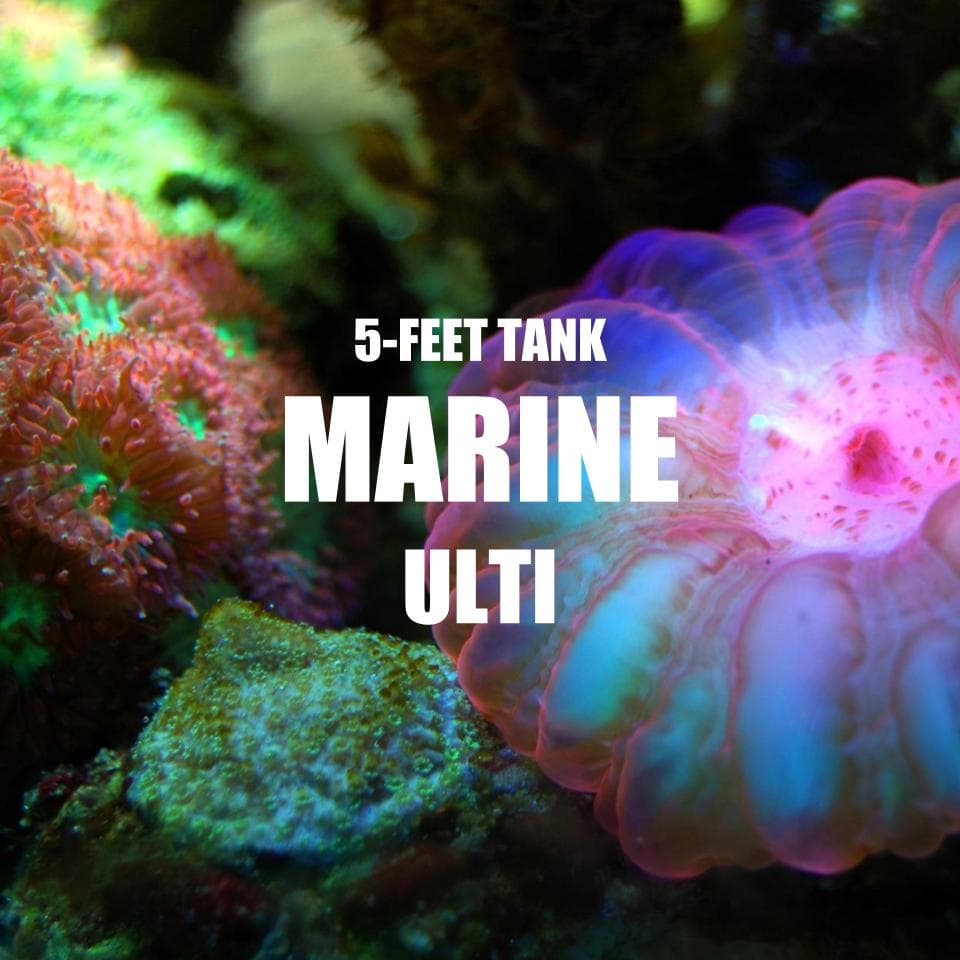 Adventure Pack - Marine 5-Feet Set