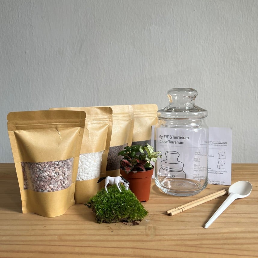 Closed Ornamental Terrarium DIY Kit