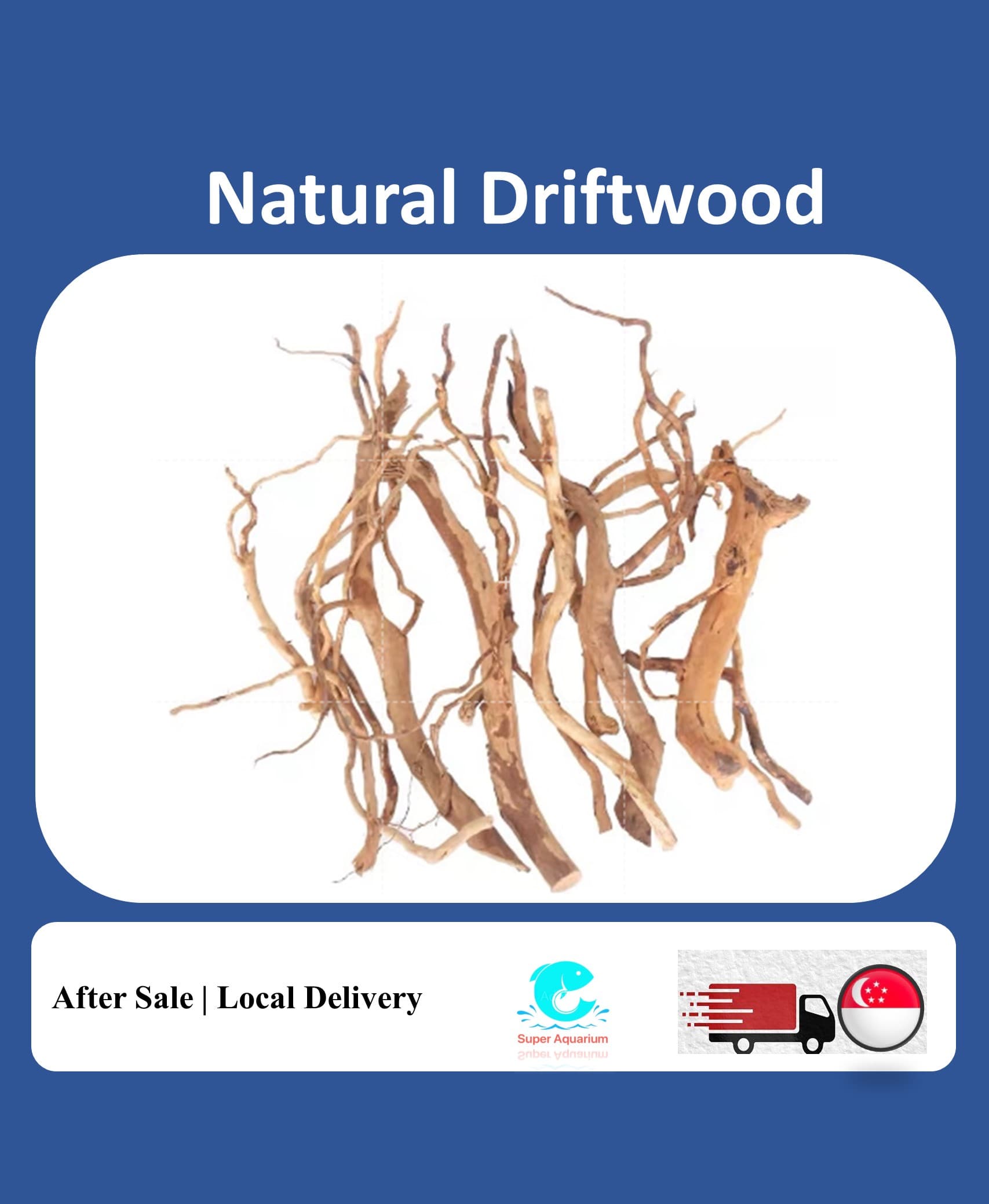 Natural drift wood for aquarium terrarium DIY bottle scape