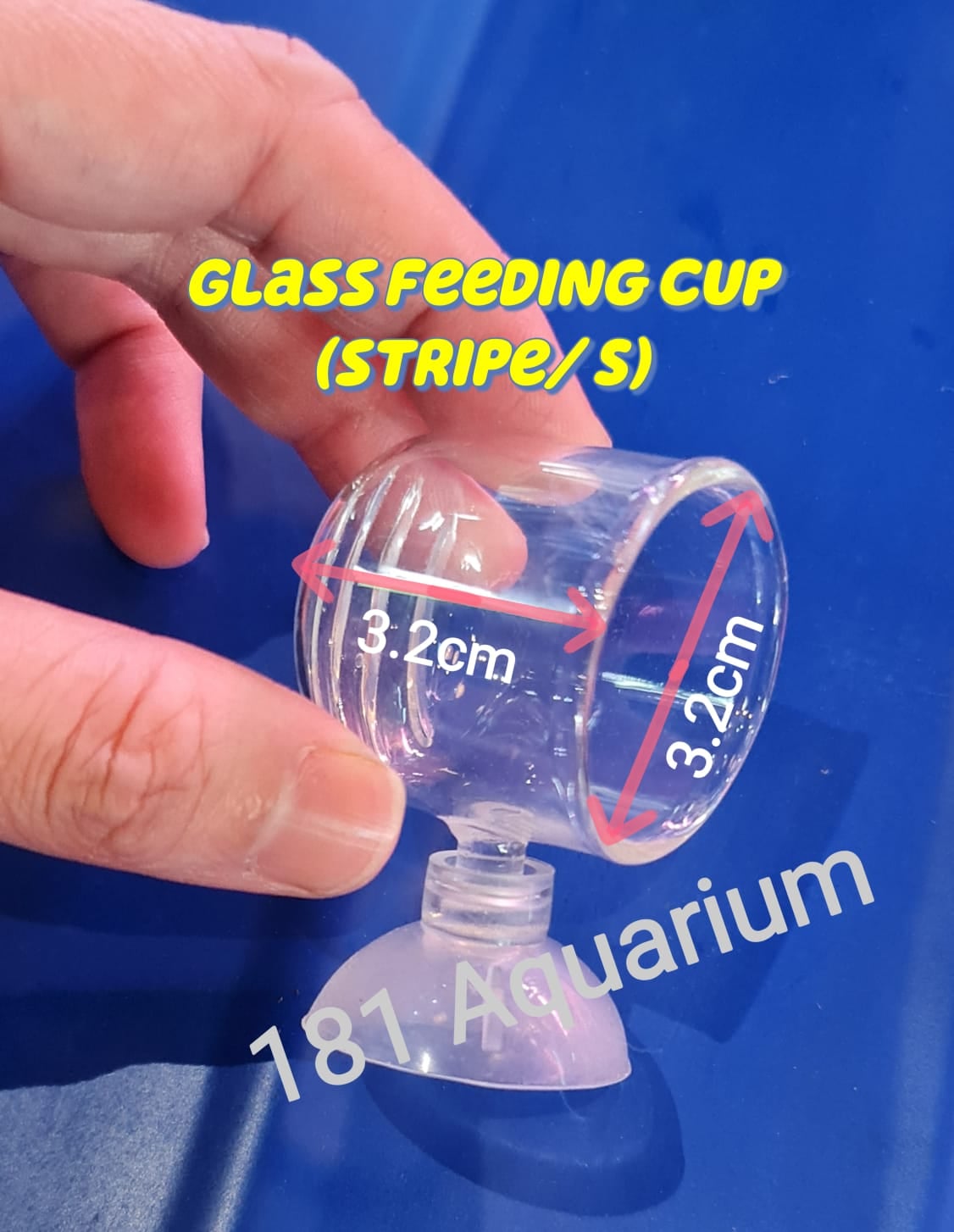 Glass Feeding Pod Fish Feeder Brine Shrimp Eggs Red Worms Food For Aquarium (S/ M/ L)