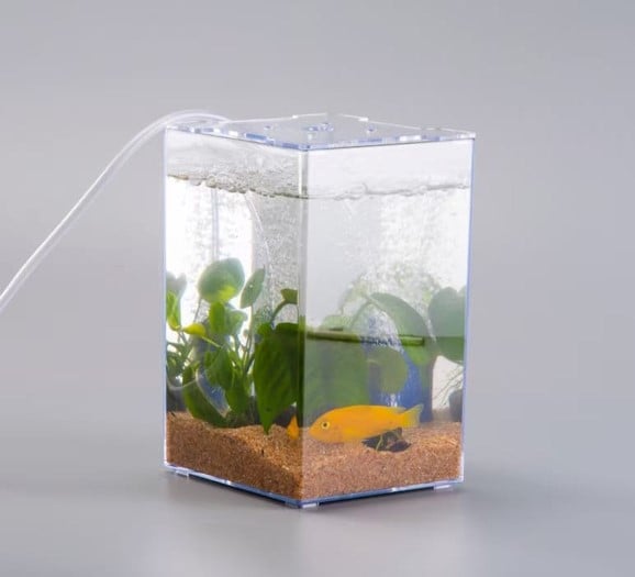 ANS Betta Competition Display Tank 13x12x19cm