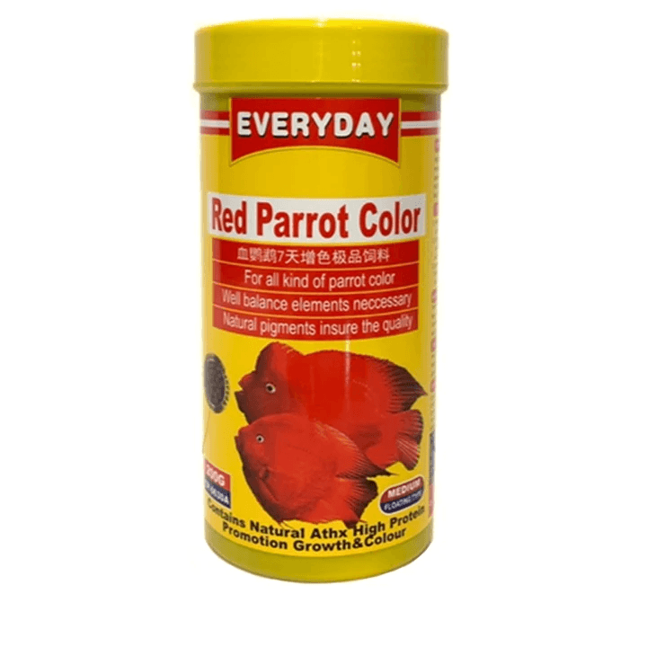 Everyday Red Parrot Color