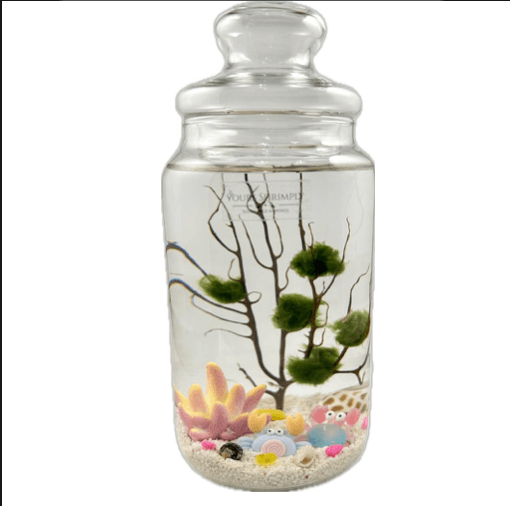 Charm with Crabbie theme