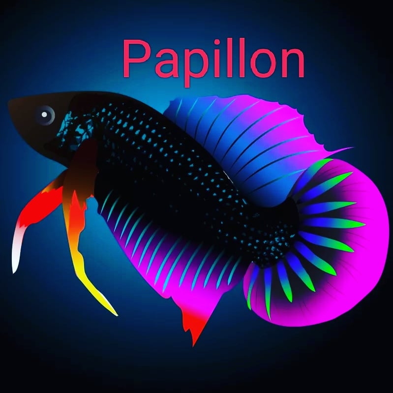 Avatar cooper Gliter