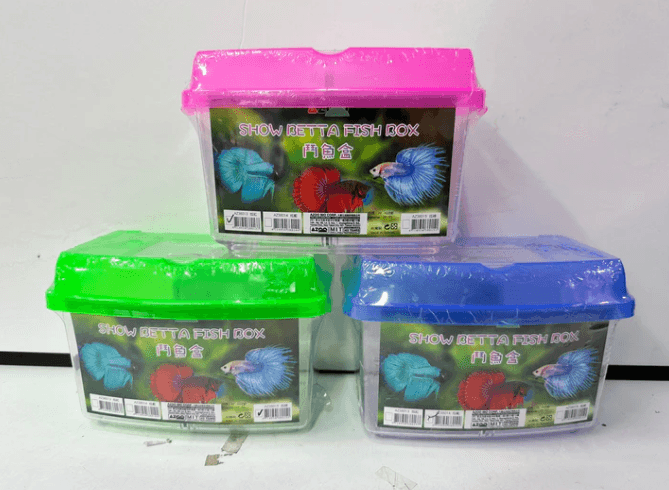 Azoo Show Betta Fish Box
