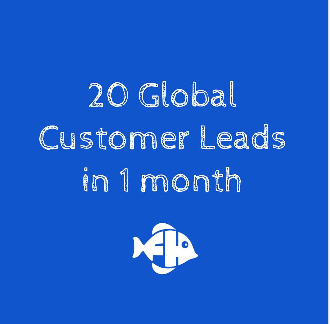 20 Global Leads for 1 month