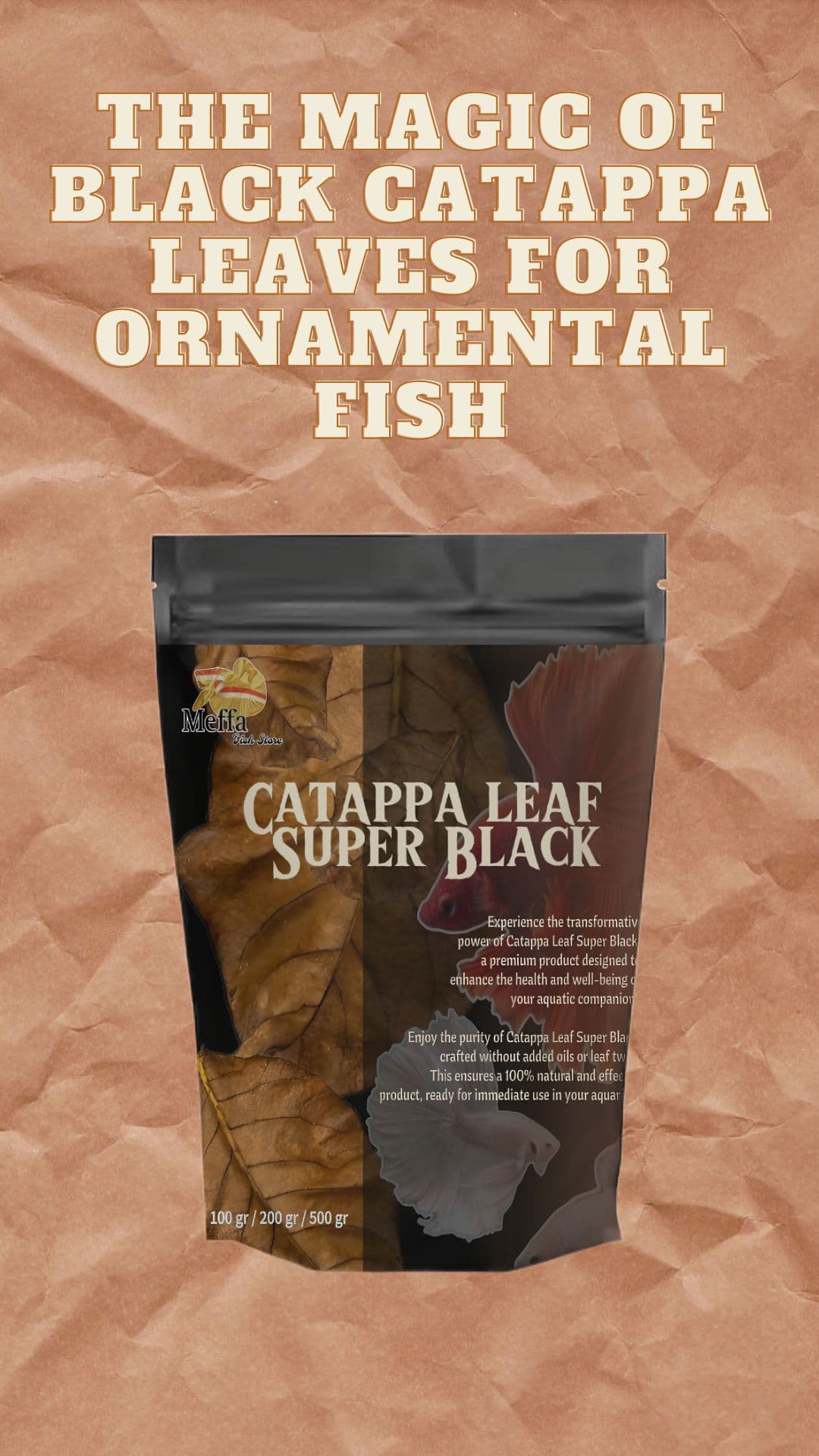 SUPER BLACK CATTAPPA LEAVES 100 gram PREMIUM ( Shipping costs not included)