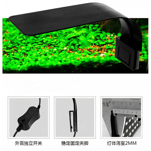 AST X-9 Led Lamp Sky Blue White and Blue LED