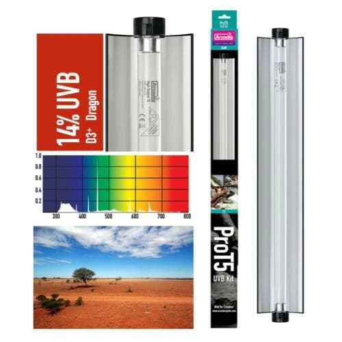 Arcadia Pro T5 UVB KIT Dragon 14% UVB