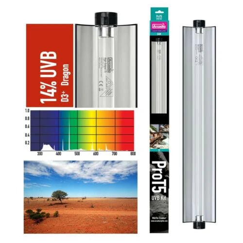 Arcadia Pro T5 UVB KIT Dragon 14% UVB