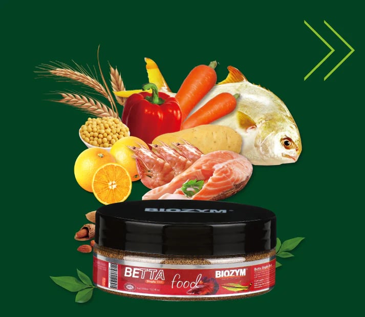 Biozym Betta food 60g