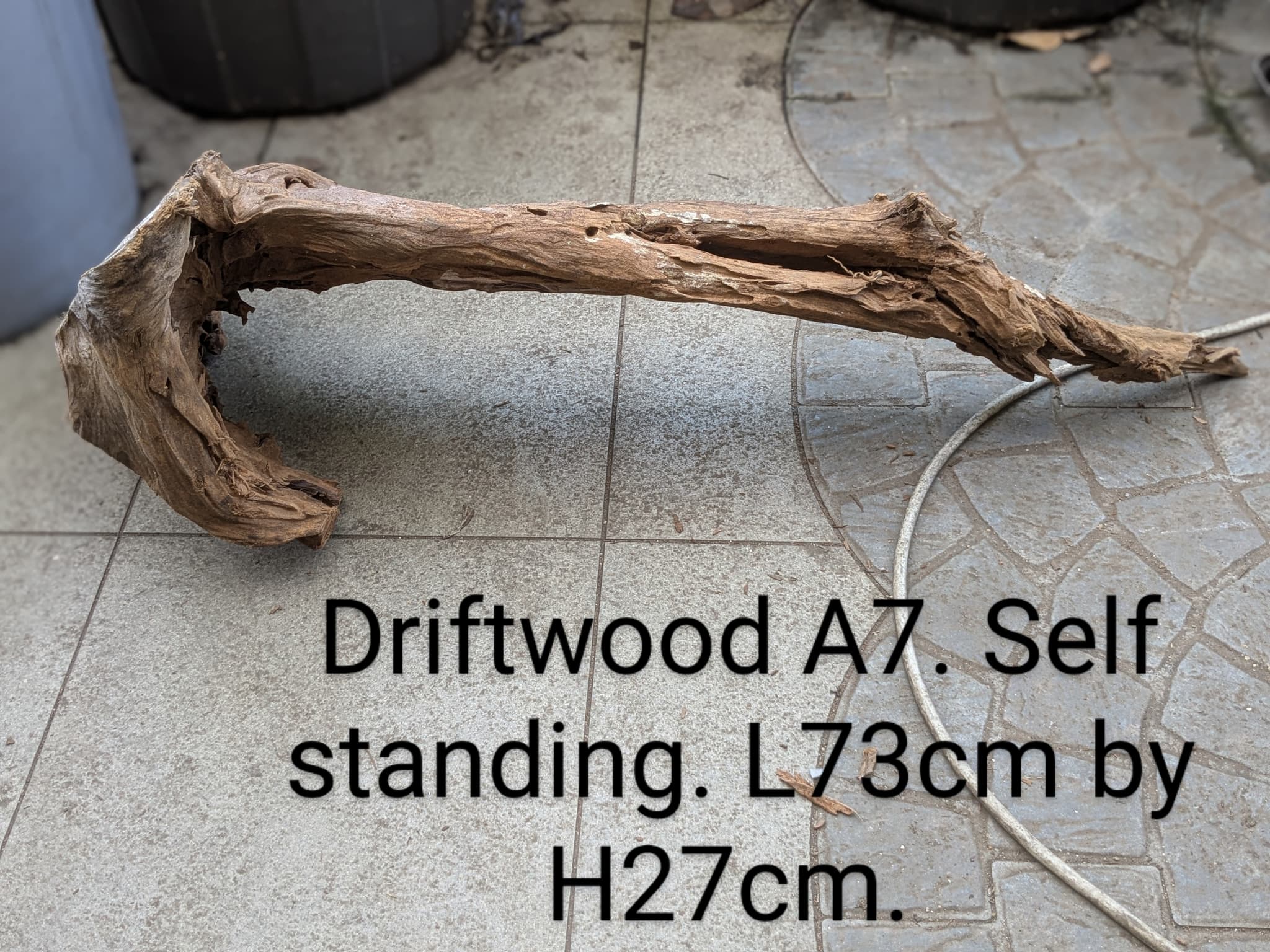 Extra large beautiful arch shaped Malayan driftwood