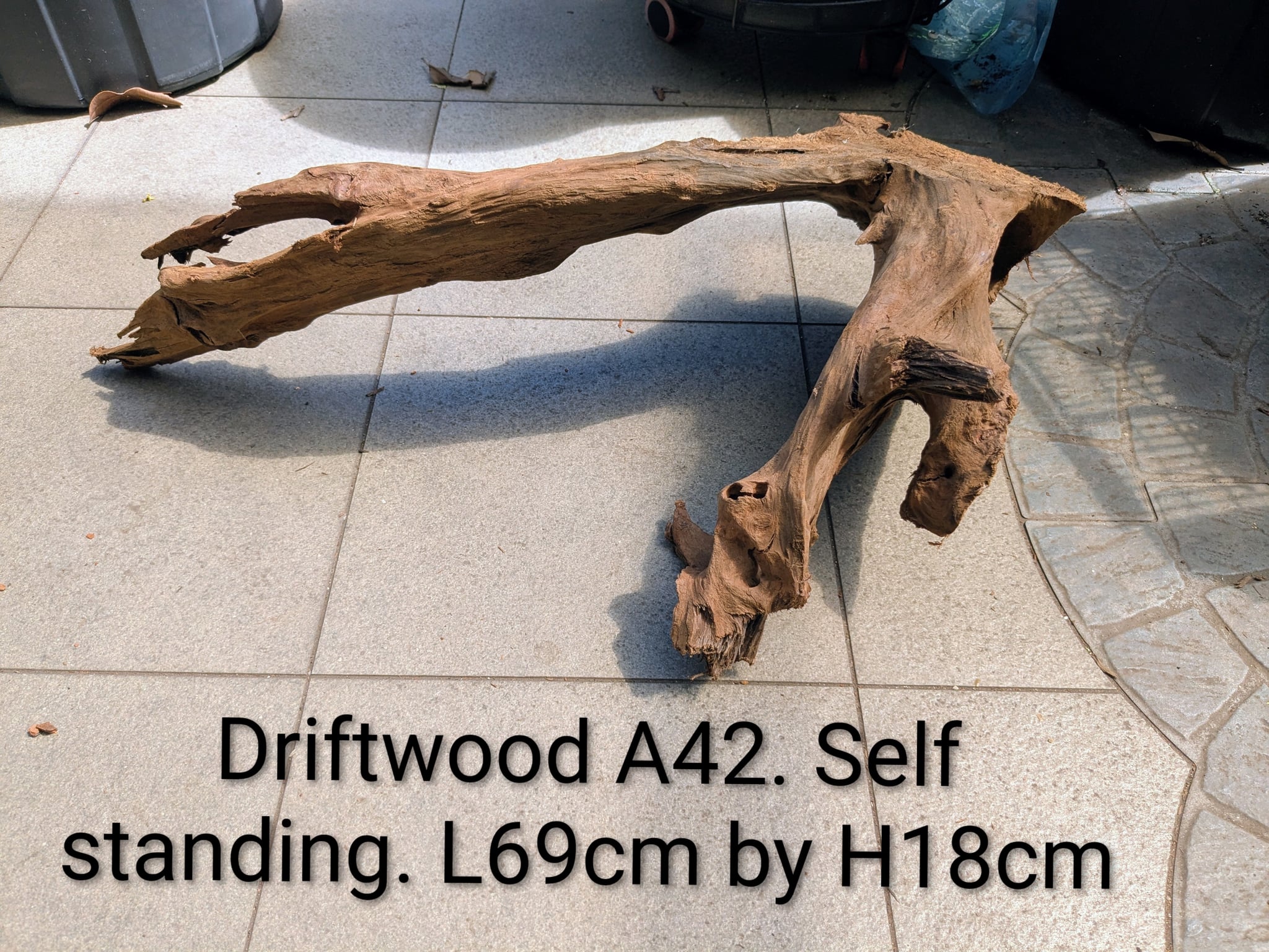 Extra large beautiful arch shaped Malayan driftwood