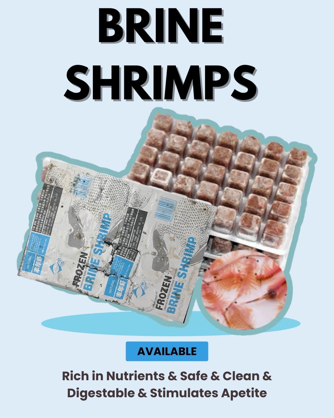 Frozen Brine Shrimp