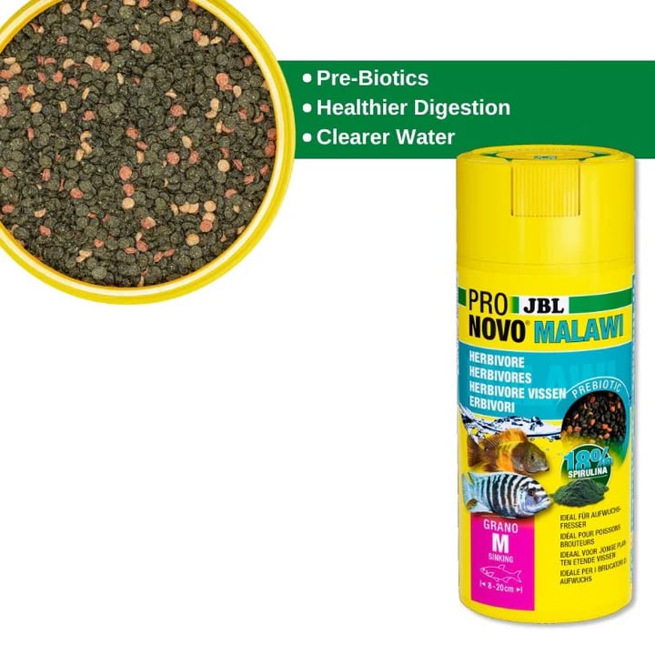 JBL Pronovo Malawi Grano M Premium Sinking Granules for Thriving Cichlids