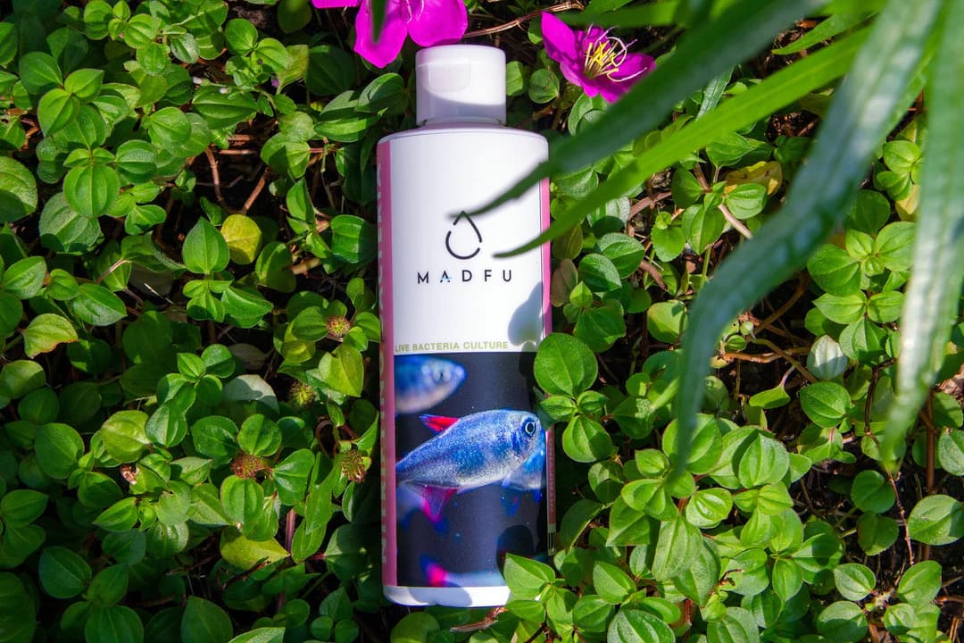 MADFU Advanced Nitrifying Bacteria: Essential Aquarium & Agriculture Cycle Starter