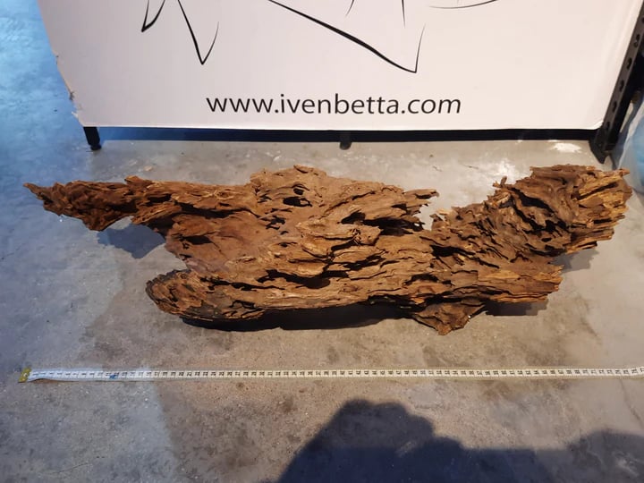 Malaysian Driftwood B