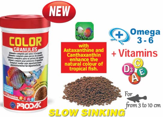 PRODAC Color Granules 100g