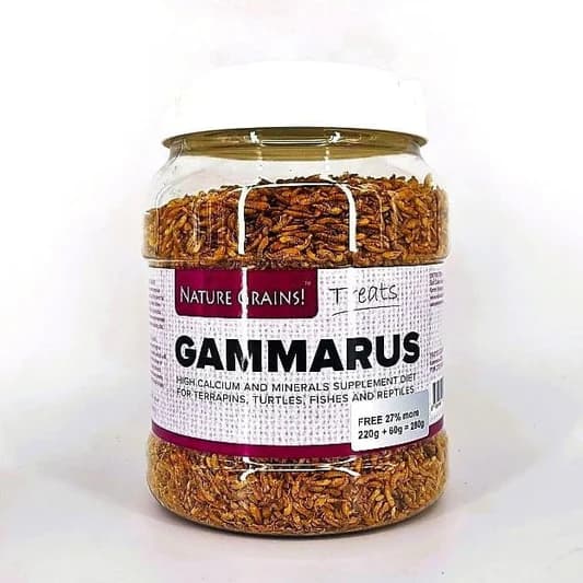 Premium Dried Gammarus Shrimp: Nutrient-Rich Color-Enhancing Treats for Turtles & Fish
