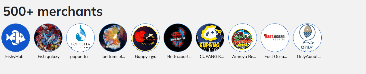 Top Merchants Feature Ad