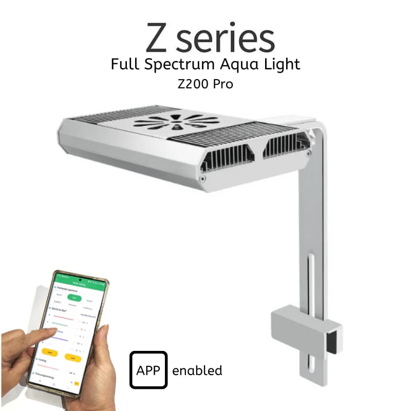 Week Aqua Z200 WRGB Pro light