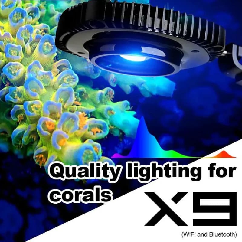 ZETLIGHT X9 LED Light 66w