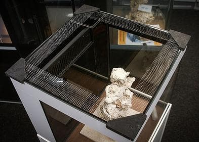 DVH FISHGUARD 6-12MM GLASS