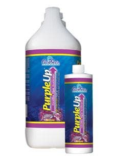 CARIBSEA PURPLEUP 16OZ