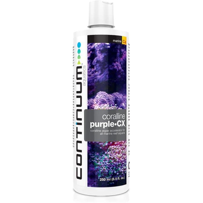 CONTINUUM CORALLINE PURPLE CX 500ML