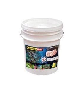 BACTERIA KING 5LITRES