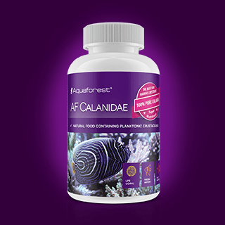 AQUAFOREST CALANIDAE 15G