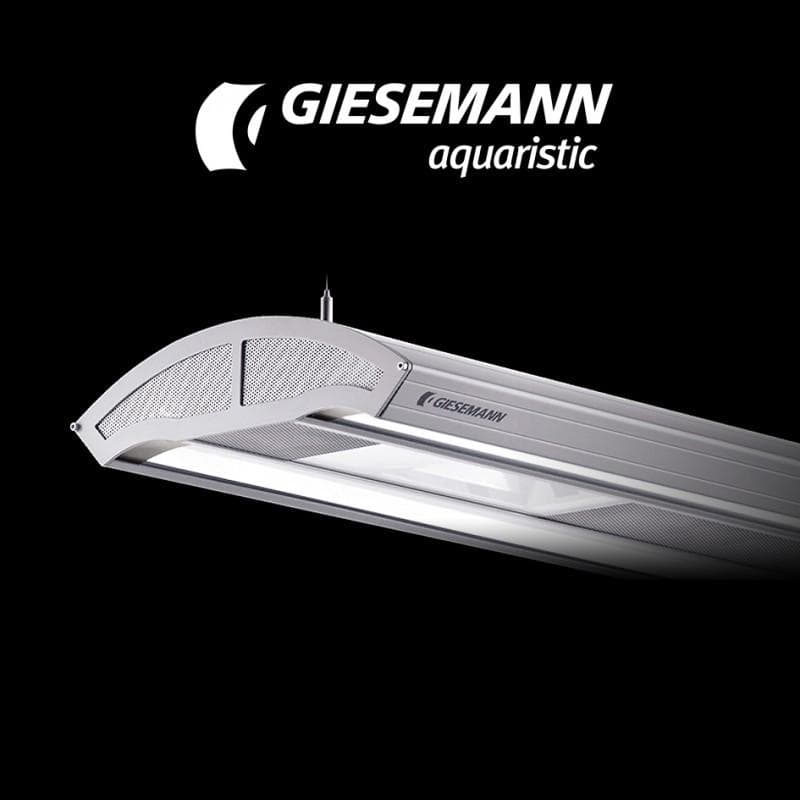 INFINITI HQ/T-5 2 X 150 WATT / 4 X 80 WATT 1500MM