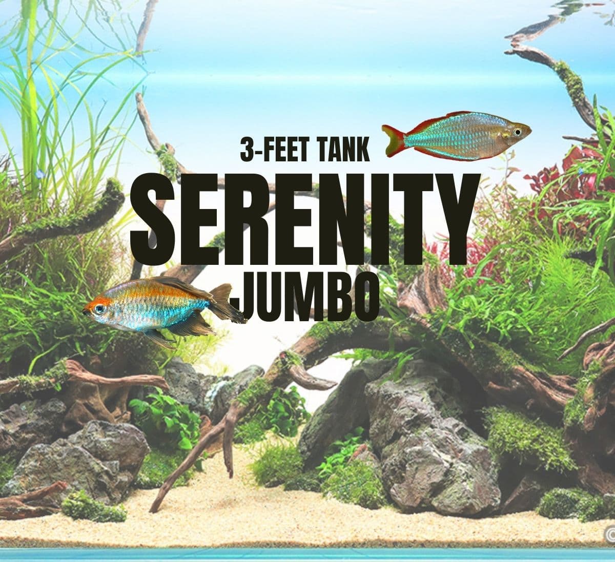 Adventure Pack - Serenity 3-Feet Set