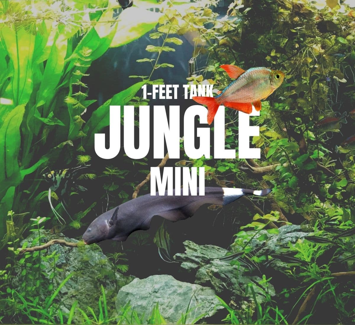 Adventure Pack - Jungle 1-Feet Set