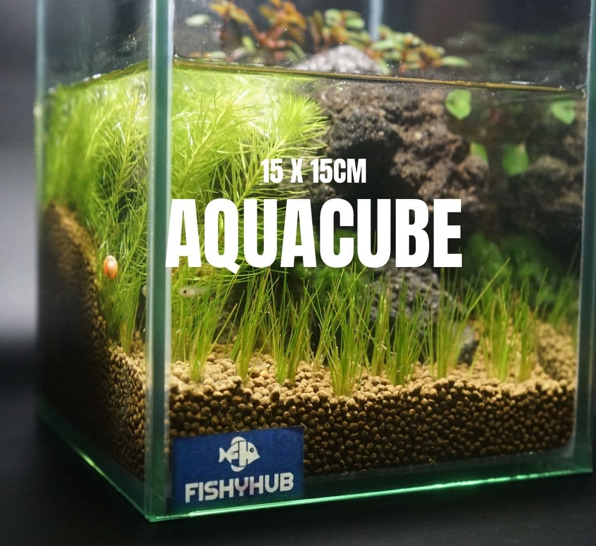 Aquacube Set (0.5 feet)