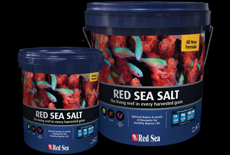 Red Sea Salt