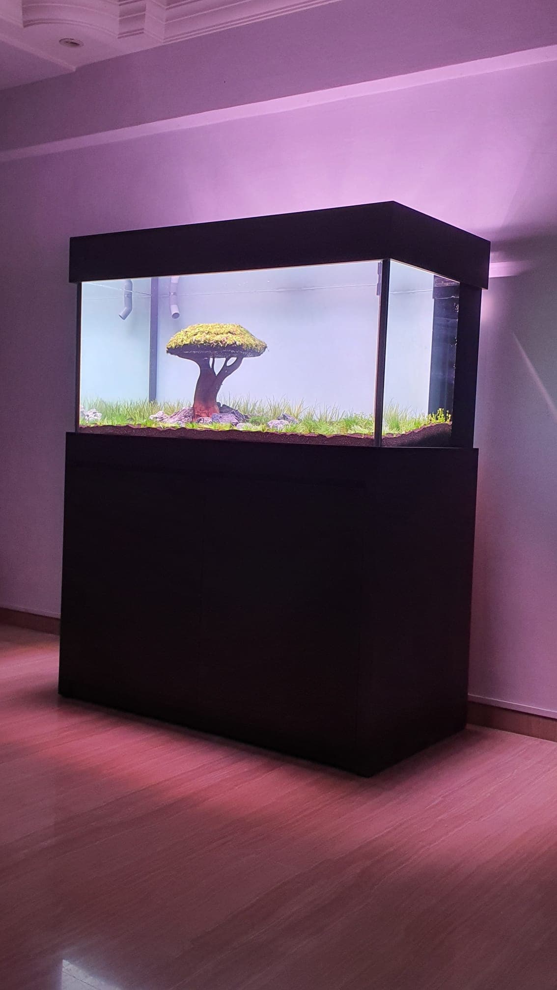 2 Feet Tank Cabinet Set (Various Cabinet Skins)