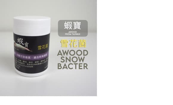 XiaBao Bacter Snow