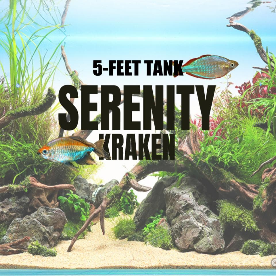 Adventure Pack - Serenity 5 Feet Set