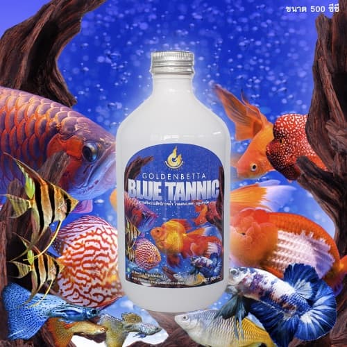 Golden Betta Blue Tannic