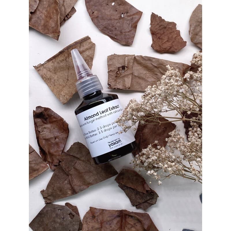 Almond Leaves (Ketapang Extract)