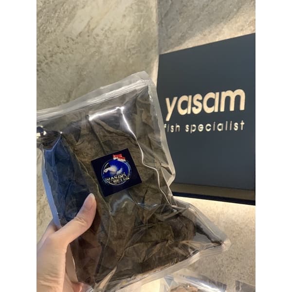 Ketapang Leaves (Almond Leaves)