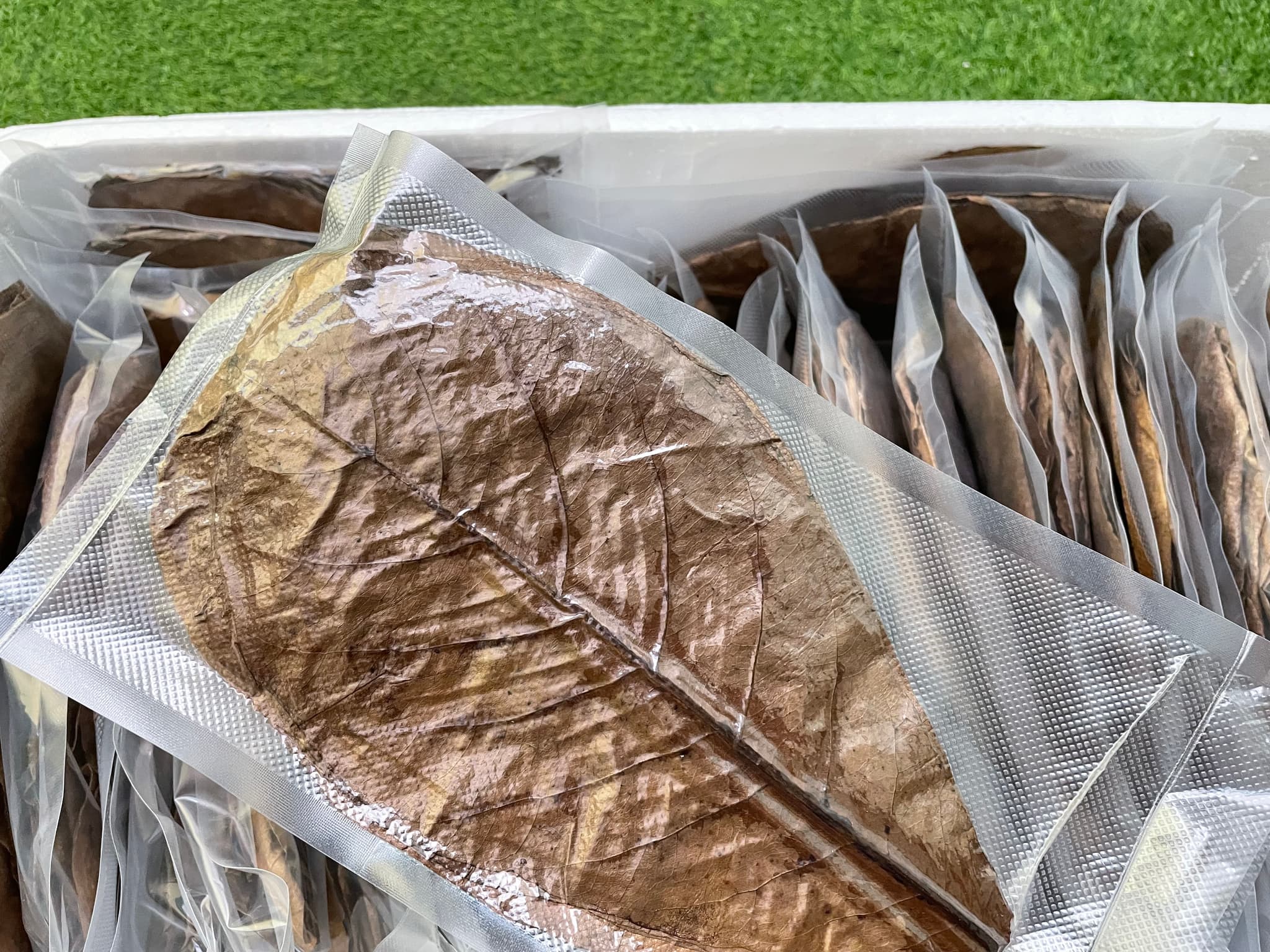 CATAPPA LEAF 1000GRAM/ 1KG