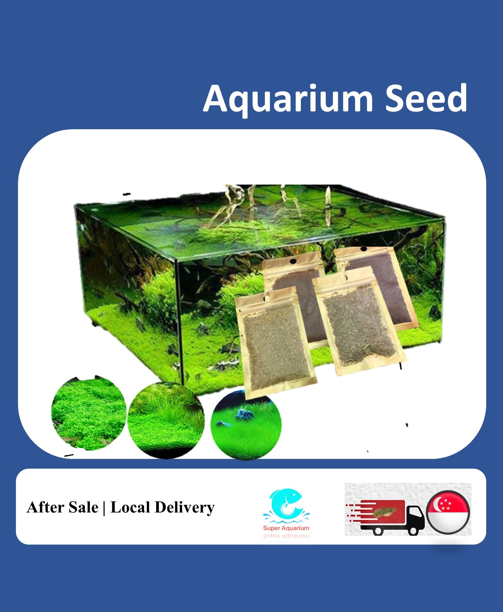 Aquarium plant seed