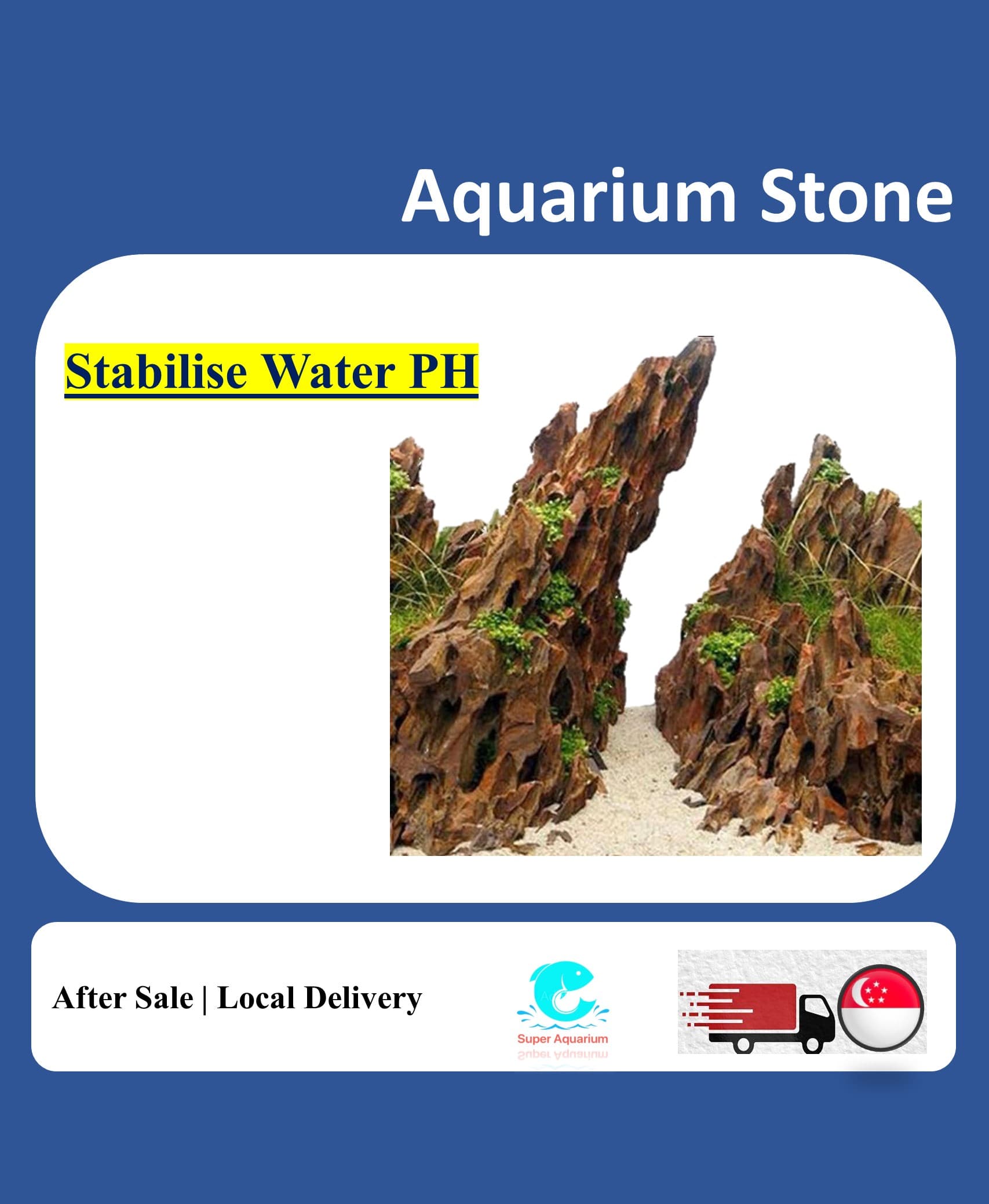 Aquarium stone natural dragon stone for terrarium aquarium